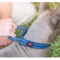 Ballistic Nylon Heavy Duty Dog Collar