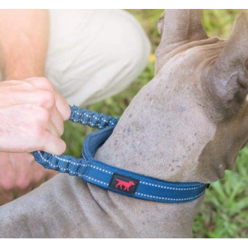 Ballistic Nylon Heavy Duty Dog Collar