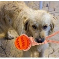 Rope Tugging & Ball Chew Dog Toy