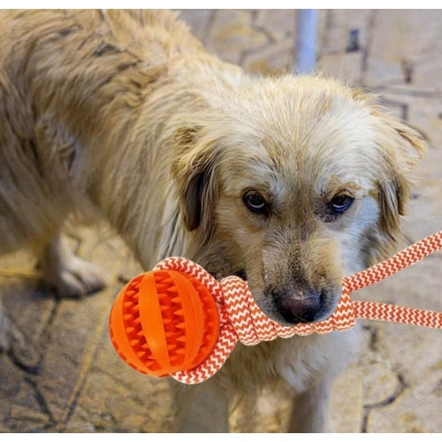 Rope Tugging & Ball Chew Dog Toy