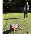 Dog Leash 6ft Long