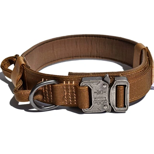 Heavy Duty Dog Collar with Handle
