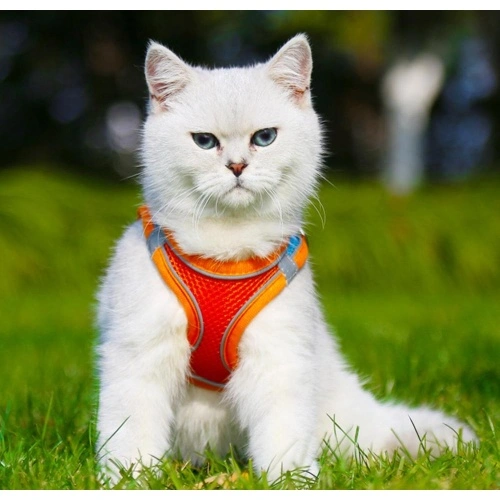 Soft Dog Harness,Custom Dog Harness Factory