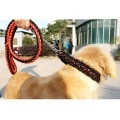 Dog Collar and Leash Set