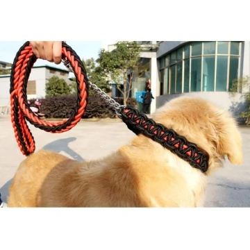 Dog Collar and Leash Set