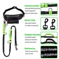 Bungee Hands Free Dog Leash