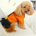 Dog Girl Dress Apparel for Female