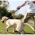 Two Handles Dog Leash