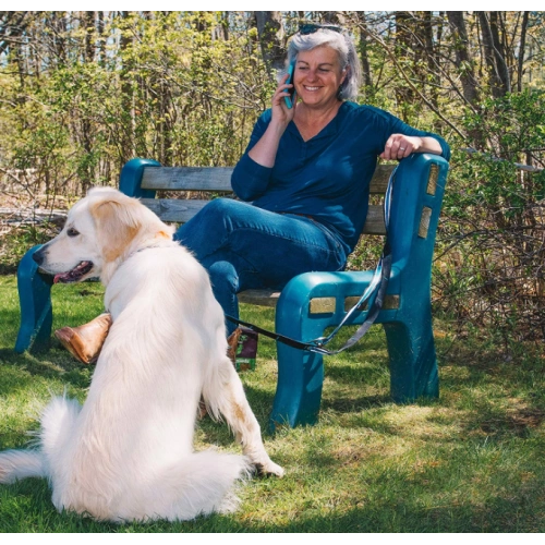 6 in 1 Hands Free Dog Leash