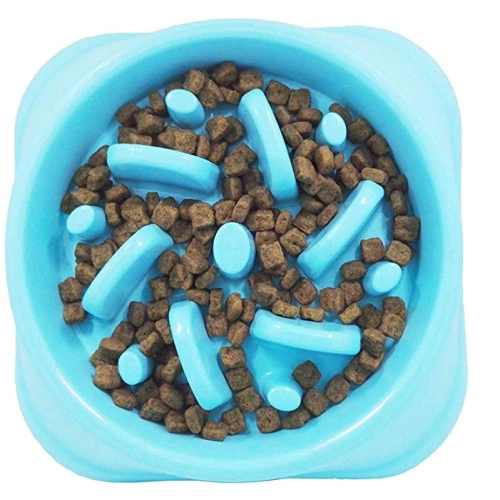 Slow Eating Dog Bowl