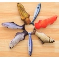 Cat Toy
