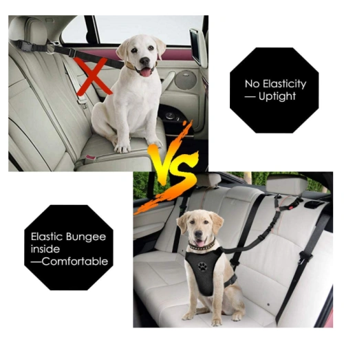 Elastic Bungee Dog Seat Belt Harness