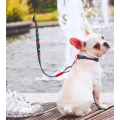 Full Color Polyester Dog Leash