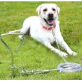 16 Inch Dog Tie Out Stake