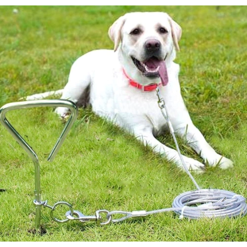16 Inch Dog Tie Out Stake