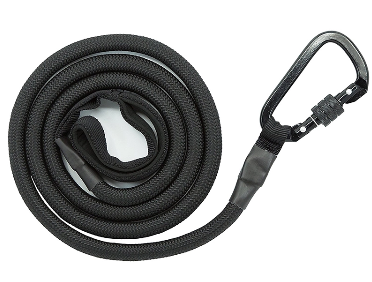 Light Up Dog Leash