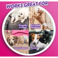 Disposable Female Dog Diapers