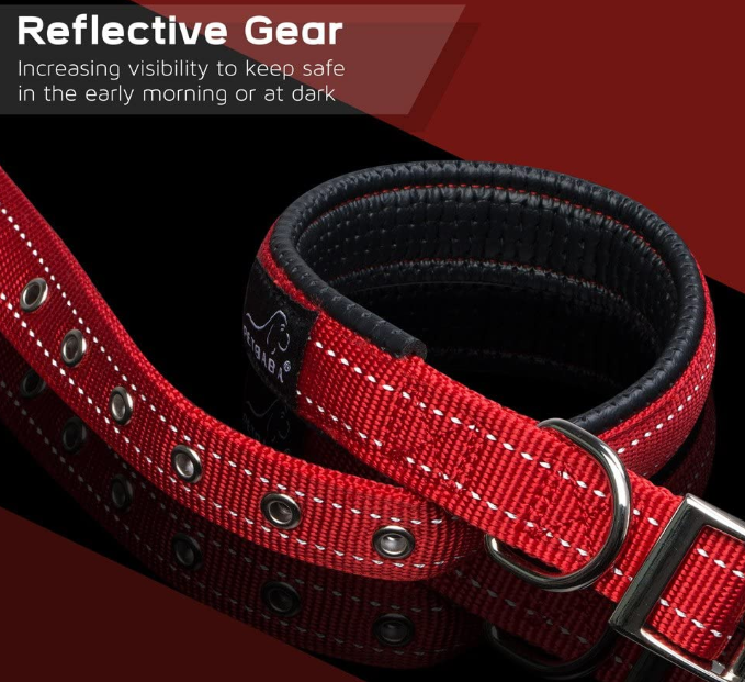 Buckle Dog Collars