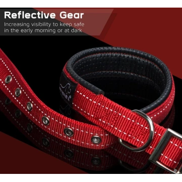 Soft Padded Dog Collar with Buckle