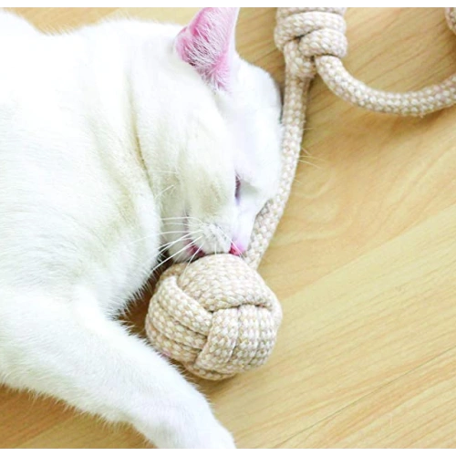 Cotton Braided Rope Toy